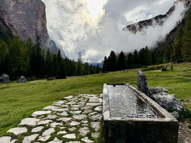 Water trough (filterable water)