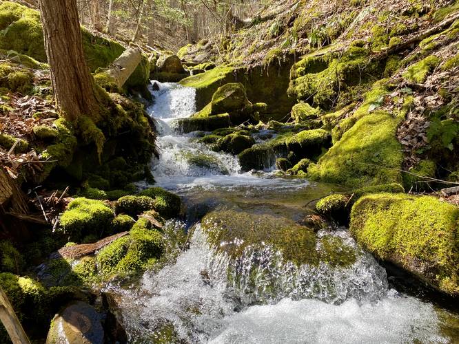 3-foot tall moss waterfall