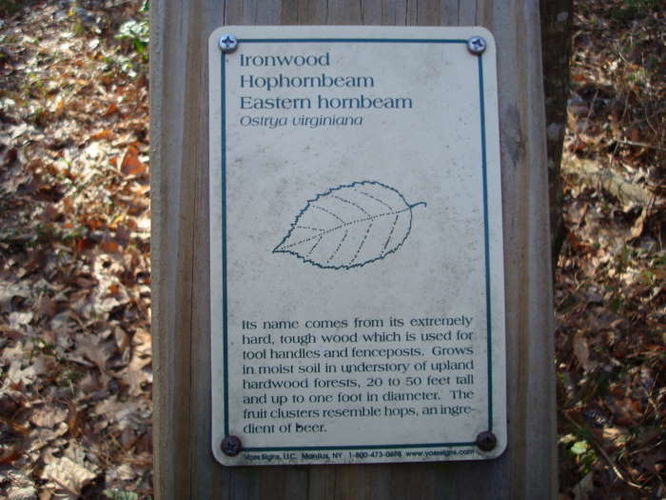 Picture 6 of Wahrani Nature Trail 013109