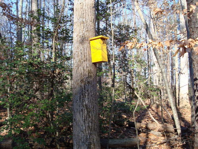 Picture 7 of Wahrani Nature Trail 013109