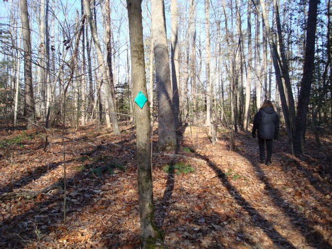 Picture 10 of Wahrani Nature Trail 013109