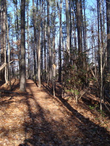 Picture 12 of Wahrani Nature Trail 013109