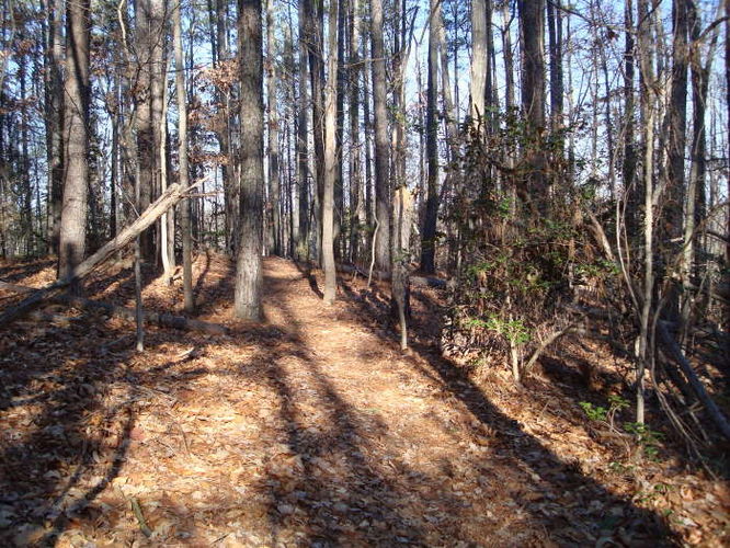 Picture 13 of Wahrani Nature Trail 013109