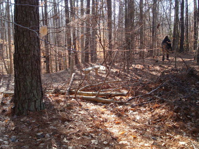 Picture 17 of Wahrani Nature Trail 013109