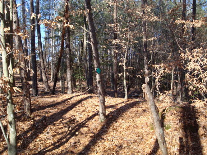 Picture 18 of Wahrani Nature Trail 013109