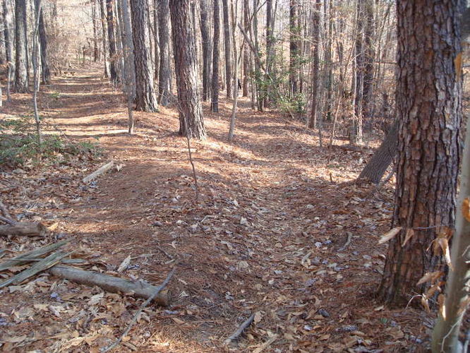 Picture 20 of Wahrani Nature Trail 013109