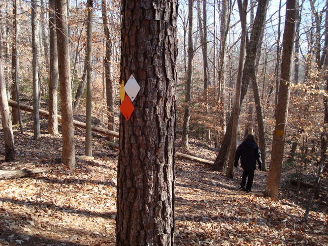 Picture 22 of Wahrani Nature Trail 013109