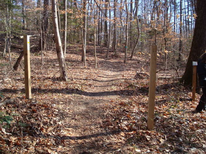 Picture 25 of Wahrani Nature Trail 013109