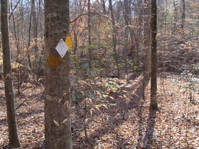 Picture 26 of Wahrani Nature Trail 013109