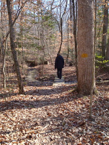 Picture 27 of Wahrani Nature Trail 013109