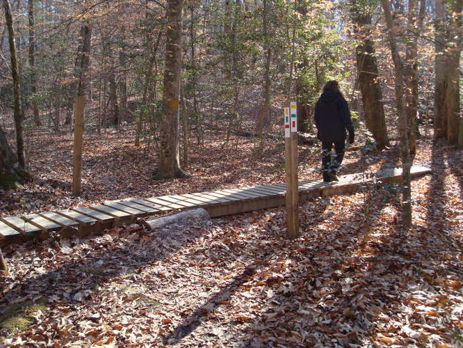 Picture 28 of Wahrani Nature Trail 013109
