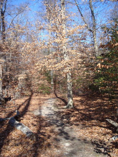 Picture 29 of Wahrani Nature Trail 013109