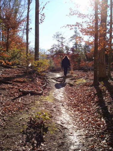 Picture 30 of Wahrani Nature Trail 013109