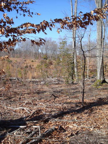 Picture 31 of Wahrani Nature Trail 013109
