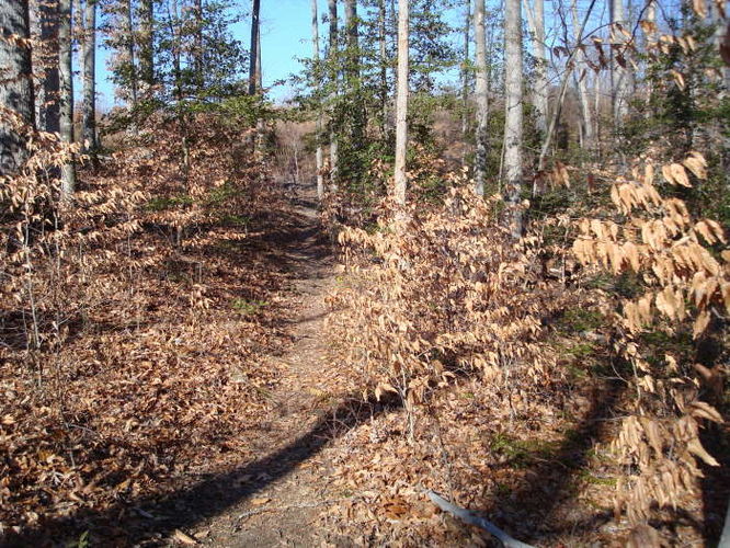 Picture 33 of Wahrani Nature Trail 013109