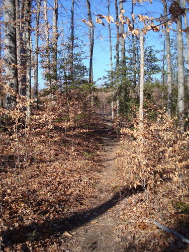 Picture 34 of Wahrani Nature Trail 013109