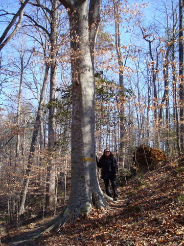 Picture 35 of Wahrani Nature Trail 013109