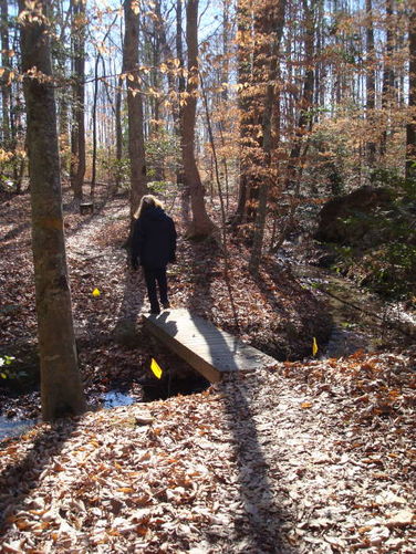 Picture 37 of Wahrani Nature Trail 013109