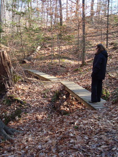 Picture 40 of Wahrani Nature Trail 013109