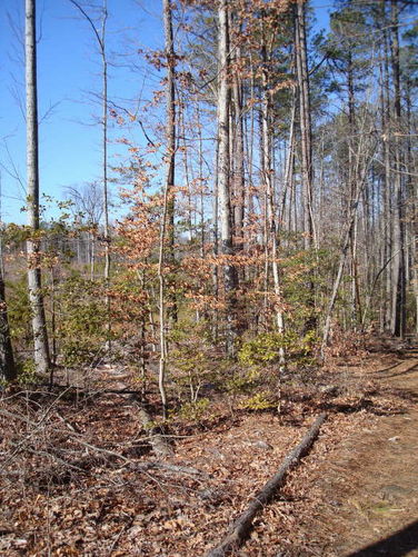 Picture 42 of Wahrani Nature Trail 013109