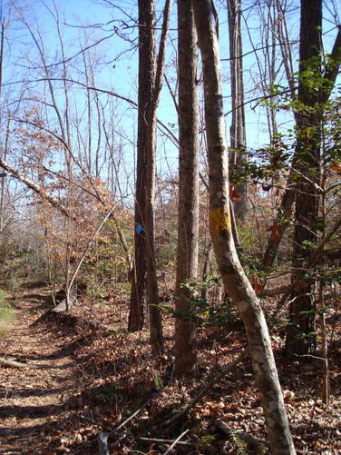 Picture 44 of Wahrani Nature Trail 013109