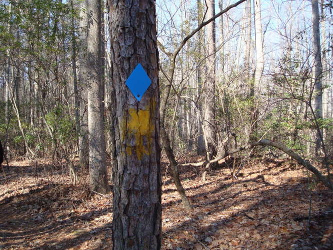 Picture 62 of Wahrani Nature Trail 013109