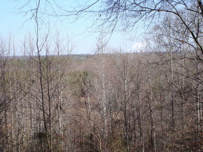 Picture 47 of Wahrani Nature Trail 013109