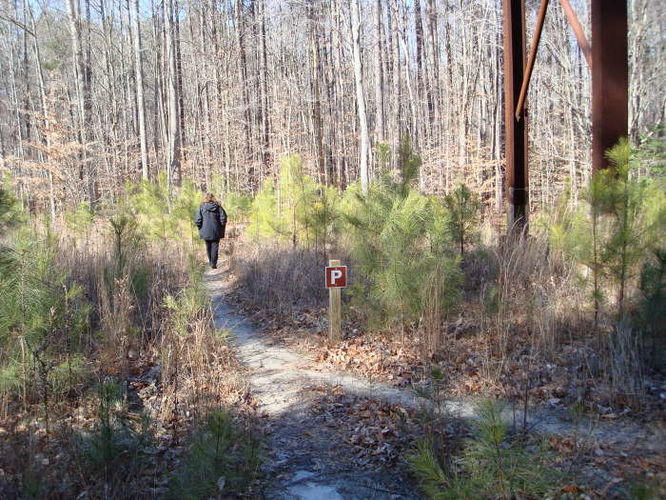 Picture 48 of Wahrani Nature Trail 013109