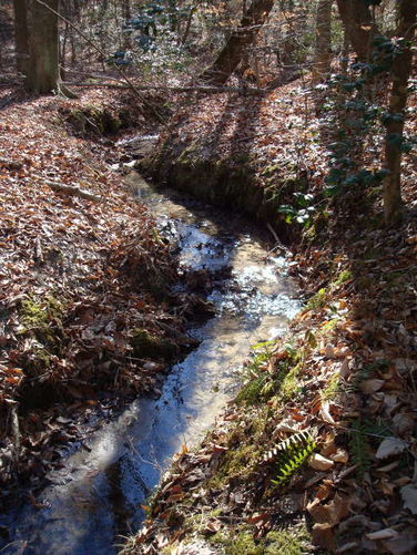 Picture 50 of Wahrani Nature Trail 013109