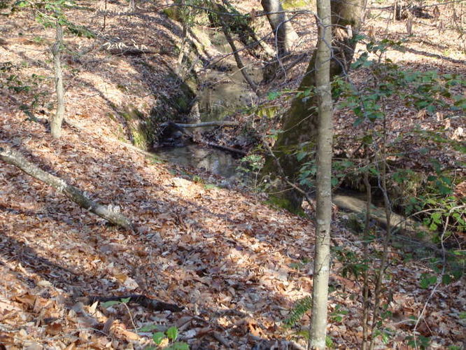 Picture 51 of Wahrani Nature Trail 013109