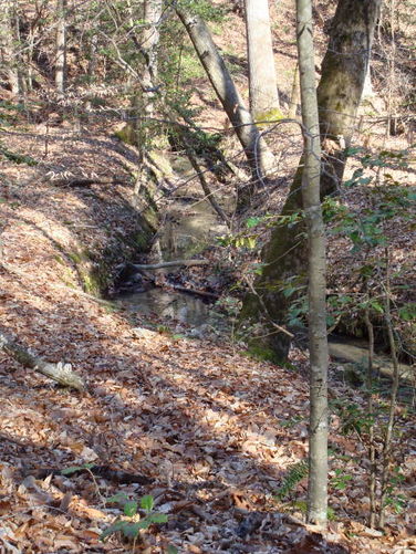 Picture 68 of Wahrani Nature Trail 013109