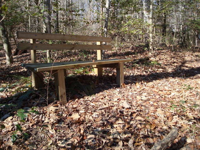 Picture 74 of Wahrani Nature Trail 013109