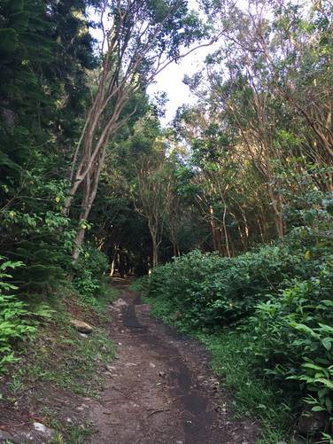 Picture 15 of Waihee Ridge Trail