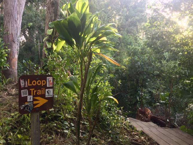 Waikamoi Nature Trail
