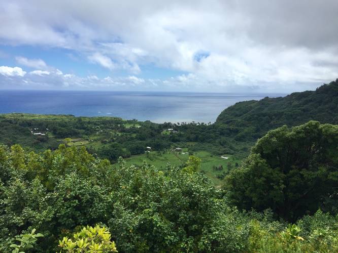Wailua Valley State Wayside Lookout Trail