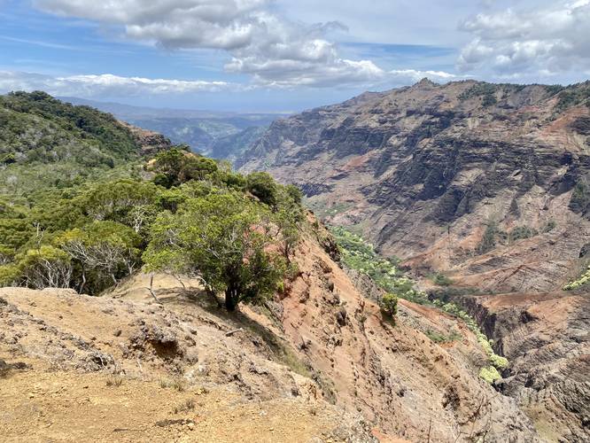 Overlook of Waimea Canyon from Cliff Trail