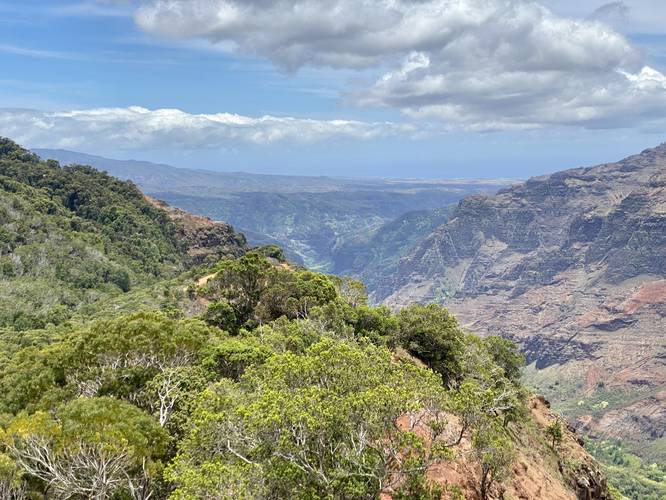 Overlook of Waimea Canyon from Cliff Trail