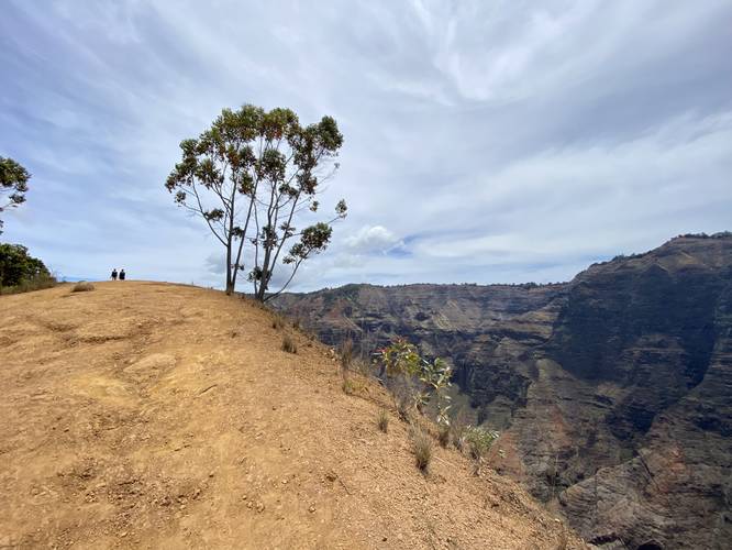 View of Waimea Canyon from the Canon Trail with steep dangerous cliffs
