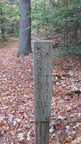 Engraved wooden trail sign