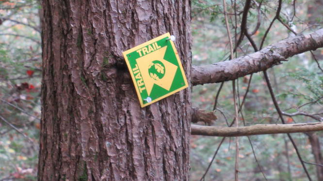 Example of trail marker