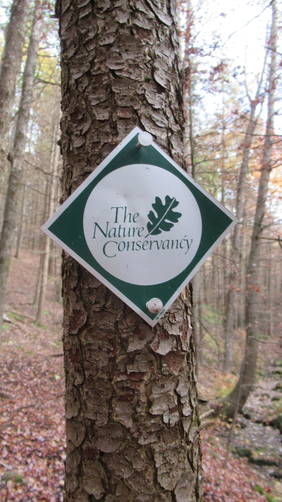 Example of trail marker