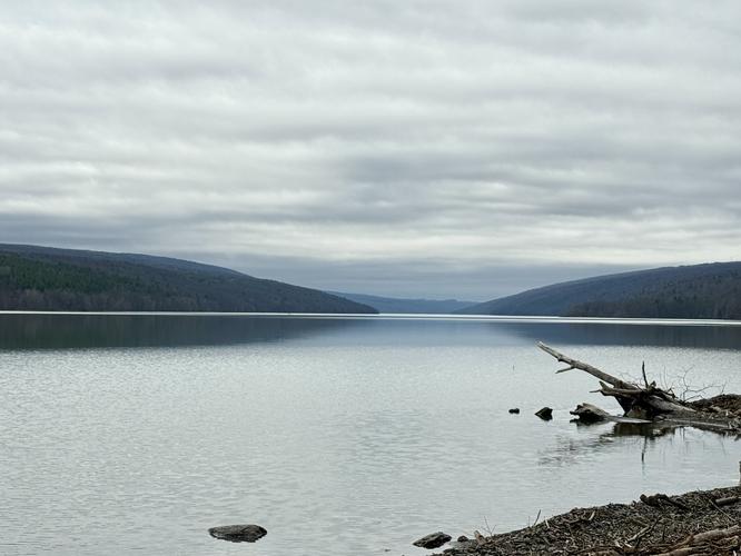 Walnut Trail - Walnut Trail album