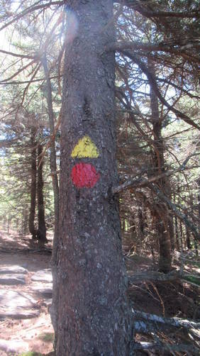 Two trails merge here, The Wapack trail and the Red Dot Trail