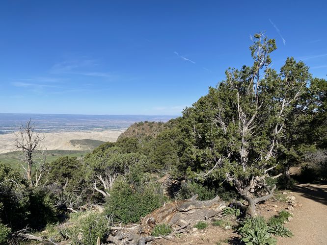 View from the Warner Point Trail toward Montrose, CO