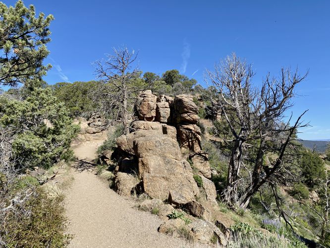 Trail climbs another steep (but short) hill