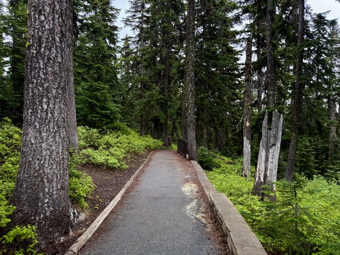 Smooth, paved path of the Washington Pass Overlook