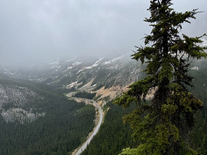 Picture 7 of Washington Pass Overlook