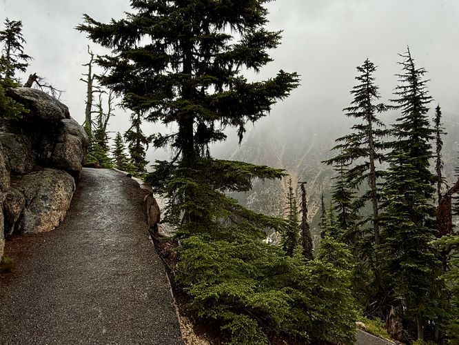 Picture 12 of Washington Pass Overlook