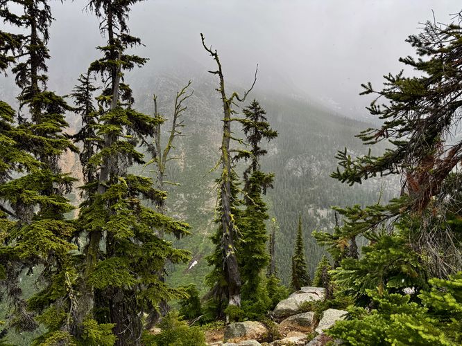 Picture 16 of Washington Pass Overlook