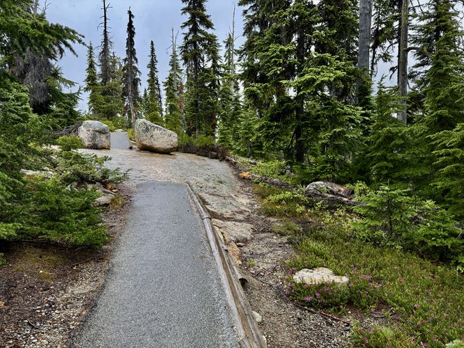 Universal-access path begins again